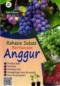 Rahasia Sukses Bertanam Anggur